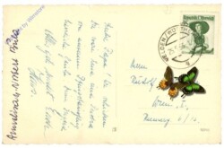 ak212555a Velden, Seebeleuchtung