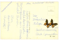 Attnang-Puchheim, Ortsansicht
