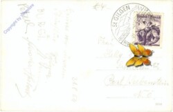 Attersee, Blick vom Schafberg