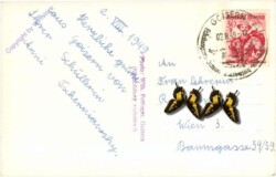 Bad Goisern, g.d. Kalmberge
