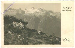 Bad Goisern, Ansicht