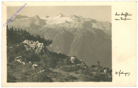 Bad Goisern, Ansicht