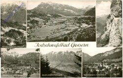 Bad Goisern, Multiansicht