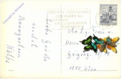 Bad Hall, Multiansicht