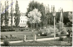 Gallspach, Institut Zeileis