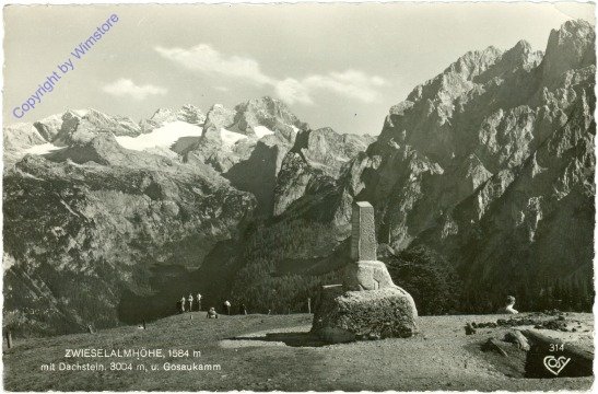 Gosau, Zwieselalmhöhe mit Dachstein u. Gosaukamm