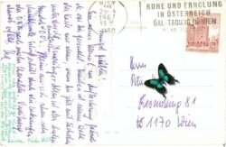 Grünau, Kircheninneres