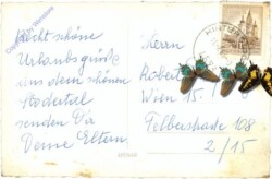 Hinterstoder, Polsterlucke mit Priel und Spitzmauer