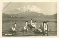 ak212839 Mondsee, Am Mondsee