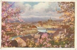 Steyr, Ansicht
