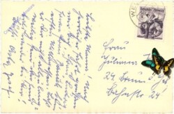 Wels, Herz-Jesu-Kirche