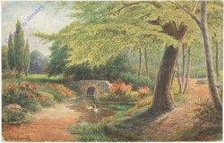Schwäne am Bach
