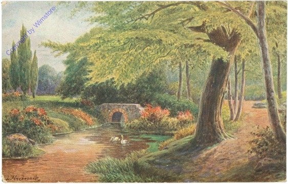 Schwäne am Bach