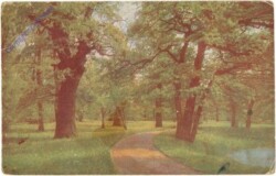 Waldweg