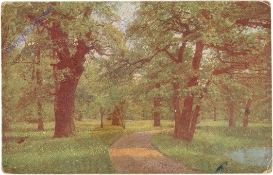 Waldweg