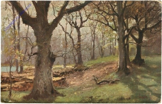Waldweg