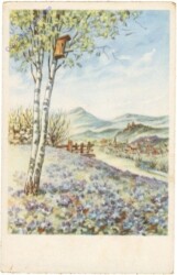 ak212965 Landschaft mit Birken
