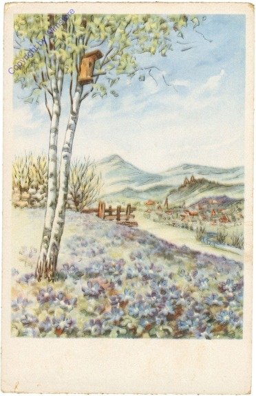 Landschaft mit Birken
