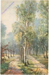 ak212968 Weg durch die Bäume