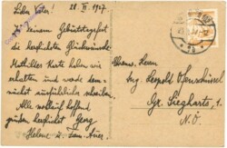 Bäume am Seeufer
