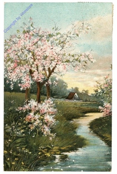 ak212973 Blühende Bäume am Bachufer