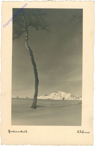 ak212982 Einsamer Baum