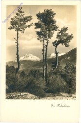 Im Hochgebirge