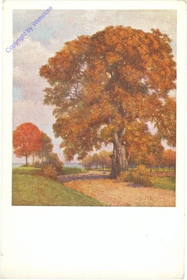 Herbstpracht