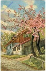 Blühender Hausbaum
