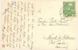 Blühender Hausbaum