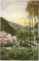 ak212995 Frühling