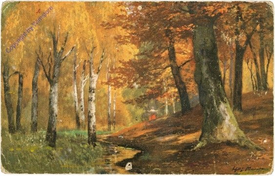 Herbst im Wald
