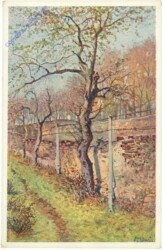 ak213006 Spaliere an einer Mauer