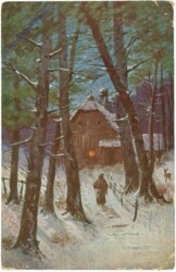 Winter im Wald