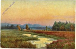 Flusslandschaft