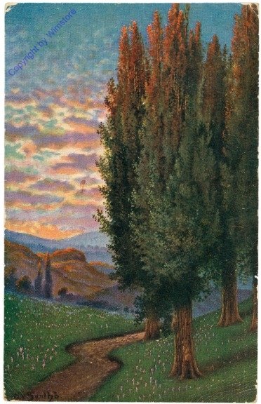 Waldweg