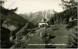 Aflenz, Lammerbauer in der Fölz  mit Flözstein