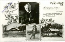 Alpl, Peter Rosegger's Waldheimat, Multiansicht