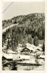 Alpl, Motiv mit Waldheimat