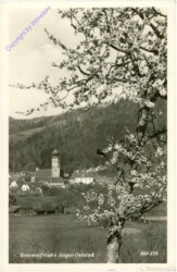 Anger bei Weiz, Ortsansicht