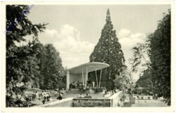 Bad Gleichenberg, Musik-Terrasse mit Willingtonia