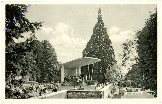 Bad Gleichenberg, Musik-Terrasse mit Willingtonia