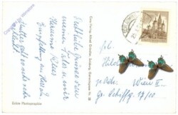 Dachstein, Austriahütte mit Dachsteinsüdwände