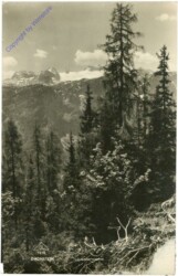 Dachstein, Ansicht