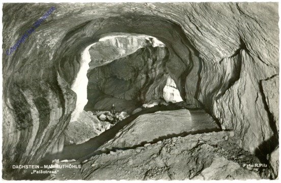 Dachstein-Rieseneishöhle, Mammuthöhle, Paläotraun