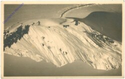 Donnersbachwald, Ansicht