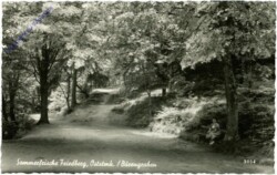 Friedberg am Wechsel, Bärengraben