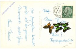 Gesäuse, Neue Gesäusestrasse, Reichenstein, Sparafeld