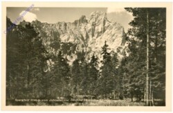 Johnsbach, Sparafeld vom Johnsbachtal