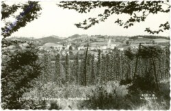 Leutschach, Hopfenbau